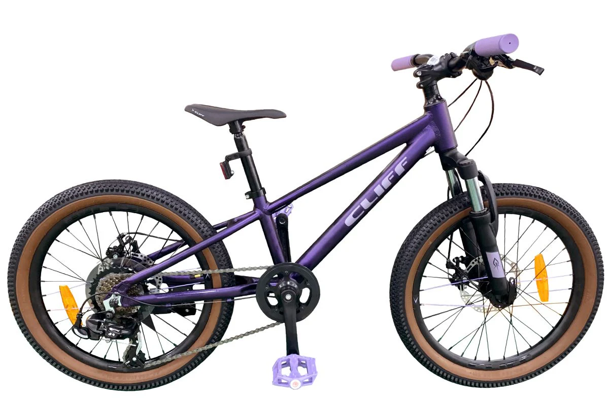 Bicicleta Cliff Lizard MD Niños 20 2026 - Imagen 5