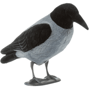 Urraca Cuerpo Entero