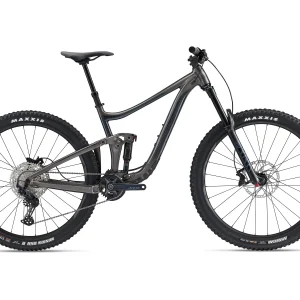 Bicicleta MTB Giant Reign 29 Gris/Negro 22