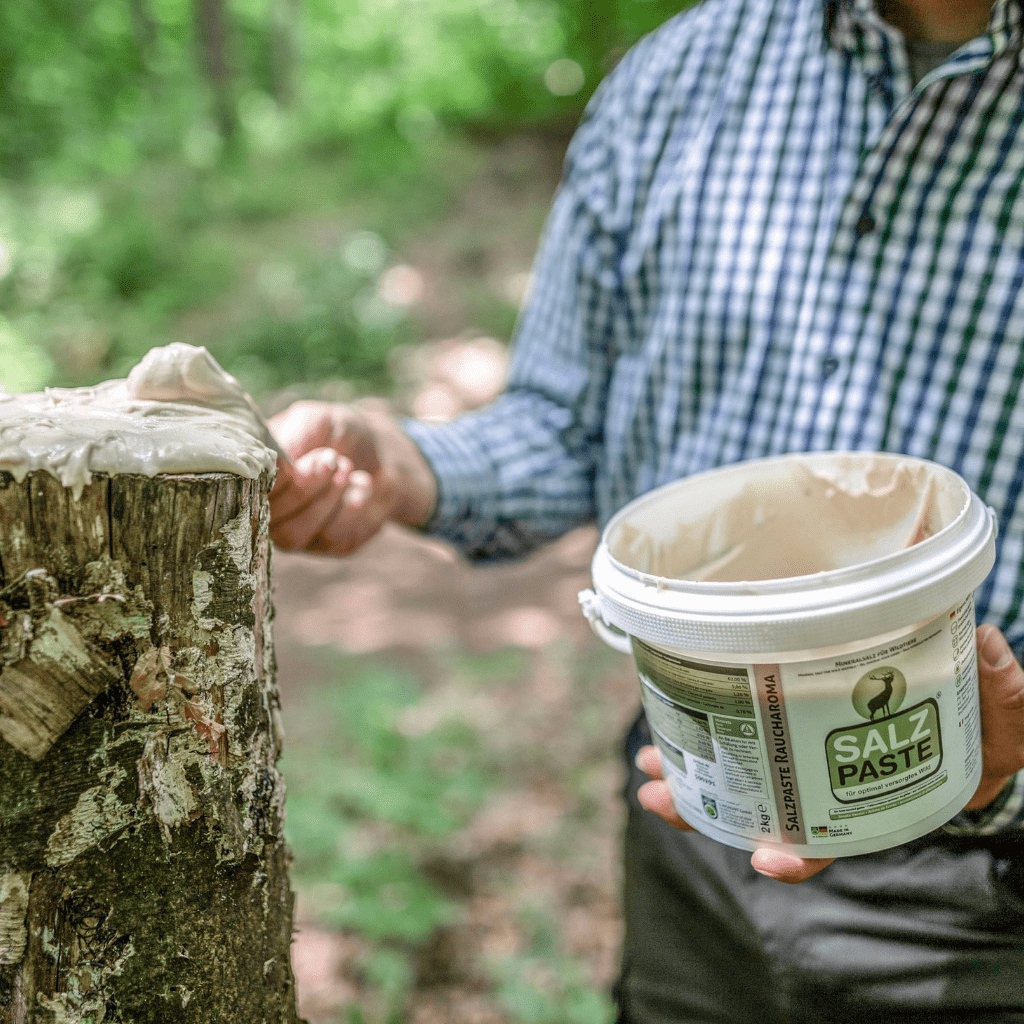 Pasta De Sal 2 Kilos Manzana - Imagen 4