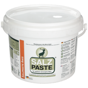 Pasta De Sal 2 Kilos De Anís