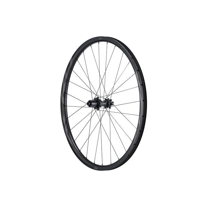 Rueda MTB Trasera Giant XCR 29