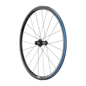 Rueda Ruta Trasera Giant Slr 0 30Mm