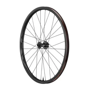 Rueda MTB Delantera Giant XCR 2 29”