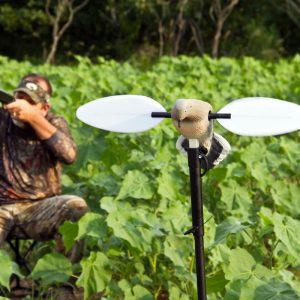 Paloma Movimiento Mojo