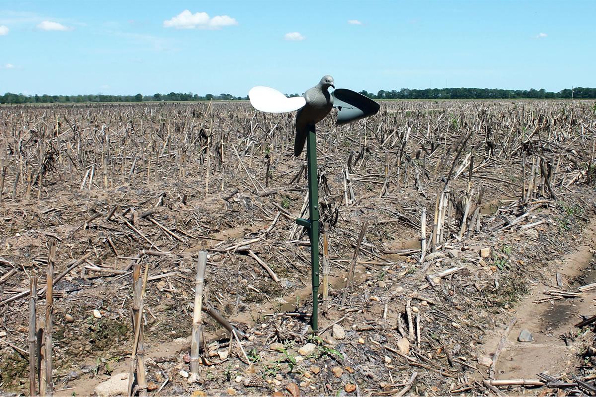 Paloma Acción Por Viento - Imagen 4