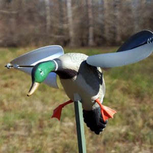 Pato Acción Por Viento Mojo