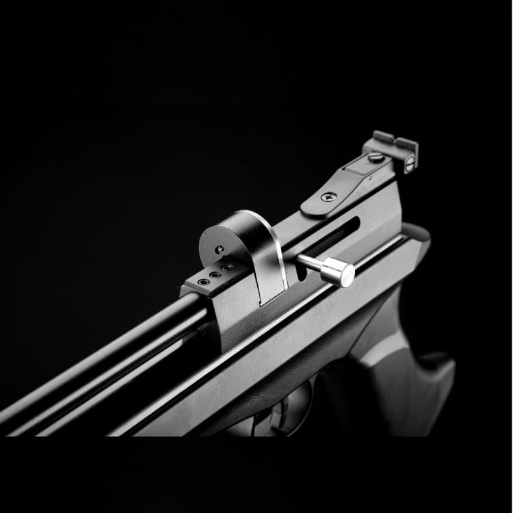 Kit Pistola Y Carabina Snowpeak/Zasdar Cp2 Co2 Multi-Tiro Cal. 5,5 Mm Balines - Imagen 5